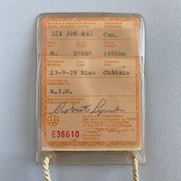 COJO personnel accreditation (orange)