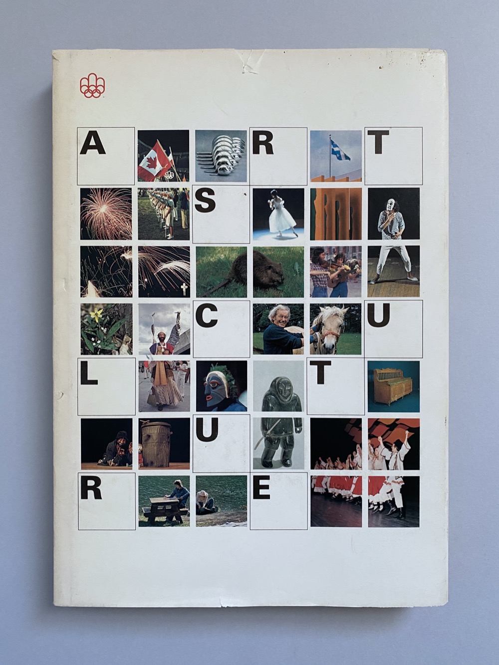 Arts and Culture book